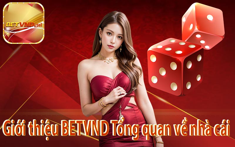 Giới thiệu BETVND Tổng quan về nhà cái