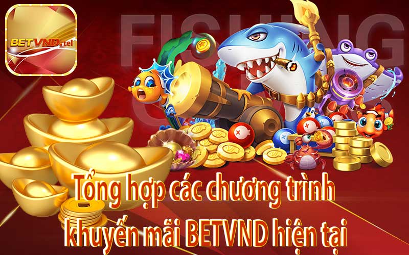 Tổng hợp các chương trình khuyến mãi BETVND hiện tại